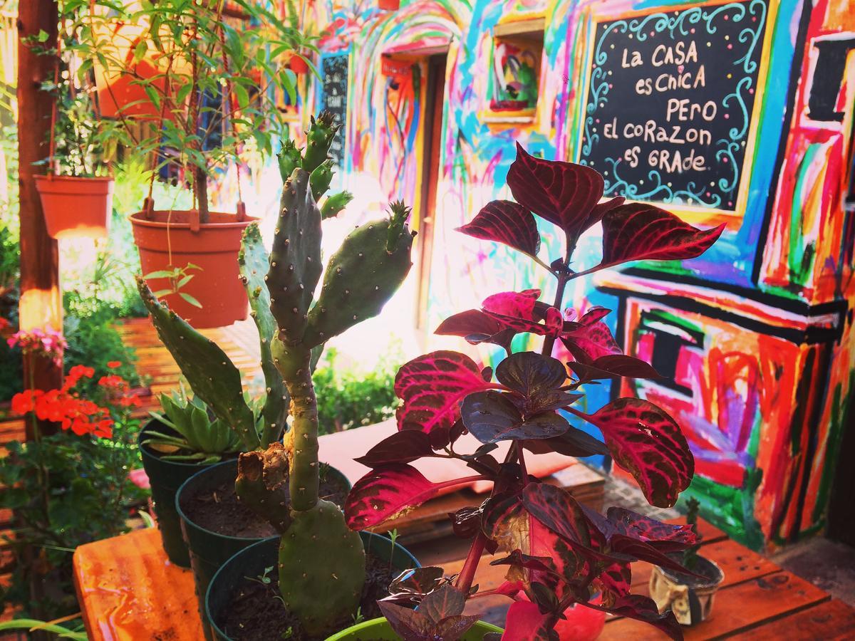 La Puerta Verde Hostel & Bar อูมาวากา ภายนอก รูปภาพ
